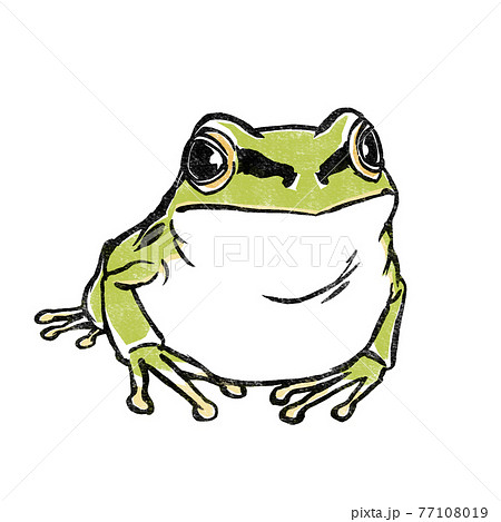Japanese Tree Frog Alone Print Style Stock Illustration