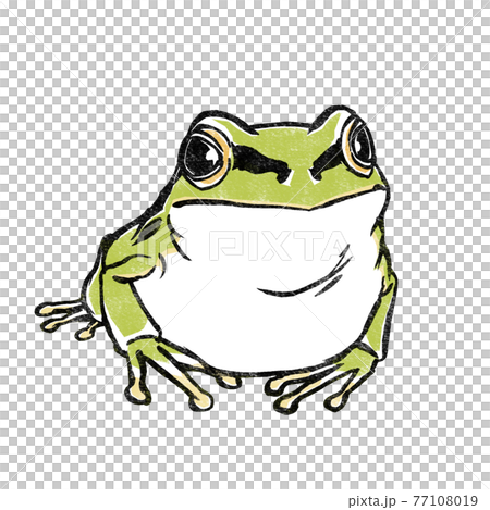 ニホンアマガエル単体 版画風のイラスト素材