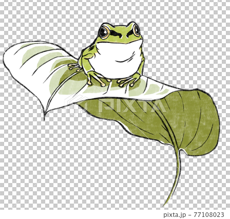 ギボウシの葉の上のニホンアマガエル 版画風のイラスト素材