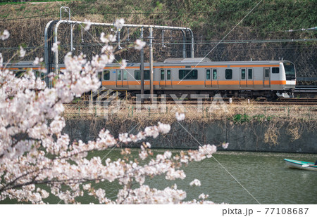 【外堀の桜と中央線 E233系】 【外堀の桜と中央線 E233系】 77108687