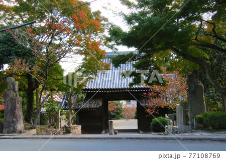 甲山の南側の山麓に位置する甲山大師神呪寺　大師道で本殿と分離された紅葉がきれいな仁王門を撮影 77108769