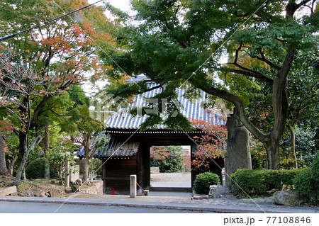 甲山の南側の山麓に位置する甲山大師神呪寺　大師道で本殿と分離された仁王門を通して異空間を望む 77108846