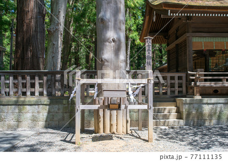 長野県 諏訪大社下社 秋宮 二の御柱 長野県 諏訪大社下社 秋宮 二の御柱 77111135