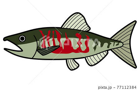 サケ サケ 77112384