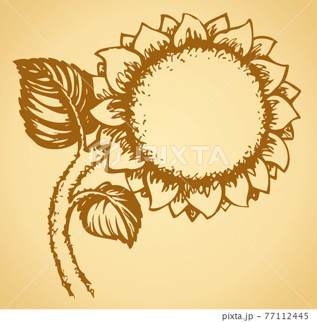 Cute sunflower. Vector drawing 77112445