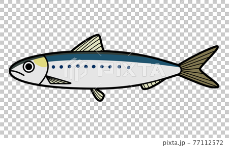 イワシのイラスト素材