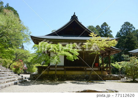 新緑の神護寺 五大堂 京都市高雄 新緑の神護寺 五大堂 京都市高雄 77112620