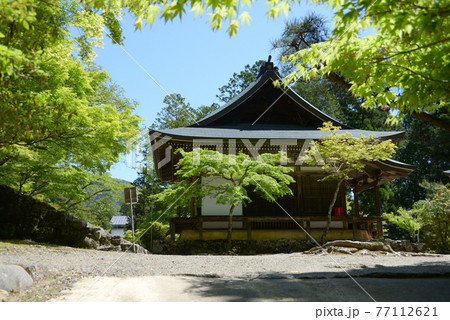 新緑の神護寺 五大堂 京都市高雄 新緑の神護寺 五大堂 京都市高雄 77112621