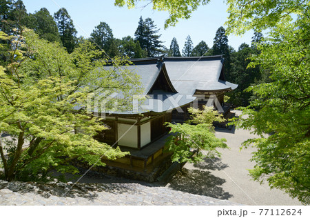 新緑の神護寺 五大堂と毘沙門堂 京都市高雄 新緑の神護寺 五大堂と毘沙門堂 京都市高雄 77112624