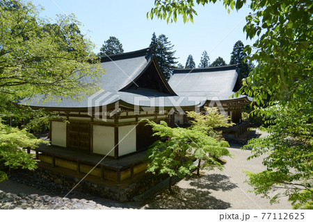 新緑の神護寺 五大堂と毘沙門堂 京都市高雄 新緑の神護寺 五大堂と毘沙門堂 京都市高雄 77112625
