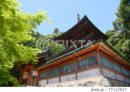 新緑の神護寺 多宝塔 京都市高雄 新緑の神護寺 多宝塔 京都市高雄 77112627