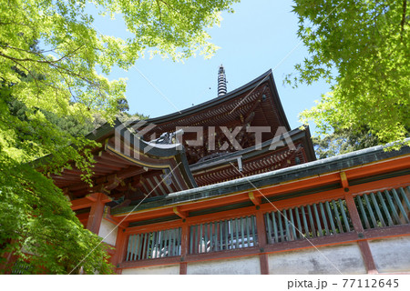 新緑の神護寺 多宝塔 京都市高雄 新緑の神護寺 多宝塔 京都市高雄 77112645