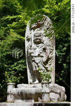 新緑の神護寺 不動明王像 京都市高雄 新緑の神護寺 不動明王像 京都市高雄 77112647