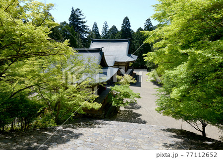 新緑の神護寺　五大堂と毘沙門堂　京都市高雄 77112652