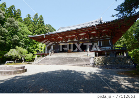 新緑の神護寺　金堂　京都市高雄 77112653