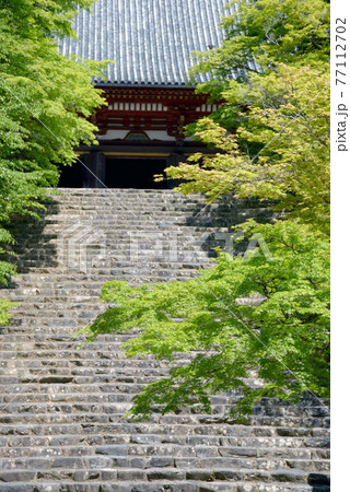 新緑の神護寺 金堂への石段 京都市高雄 新緑の神護寺 金堂への石段 京都市高雄 77112702