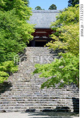 新緑の神護寺 金堂への石段 京都市高雄 新緑の神護寺 金堂への石段 京都市高雄 77112703