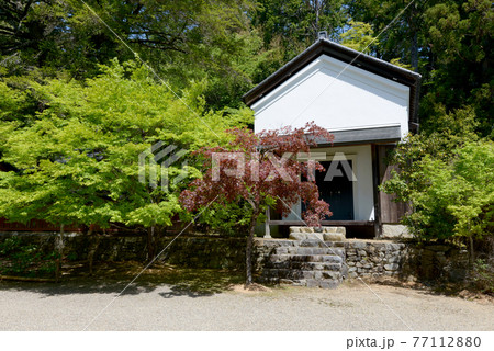 新緑の神護寺 宝蔵 京都市高雄 新緑の神護寺 宝蔵 京都市高雄 77112880