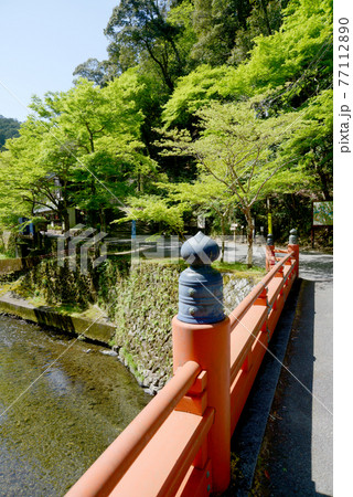 新緑の神護寺 高雄橋 京都市高雄 新緑の神護寺 高雄橋 京都市高雄 77112890