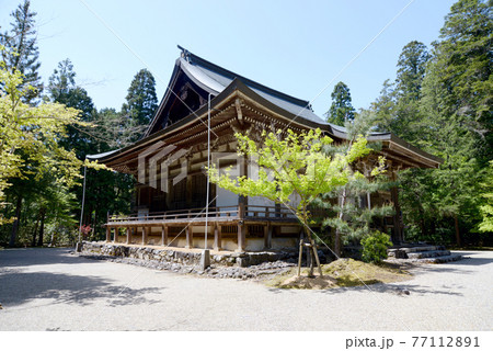 新緑の神護寺 五大堂 京都市高雄 新緑の神護寺 五大堂 京都市高雄 77112891
