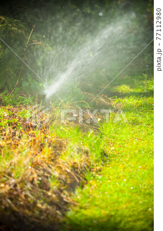 Gardening. Lawn sprinkler spraying water over grass. Gardening. Lawn sprinkler spraying water over grass. 77112980