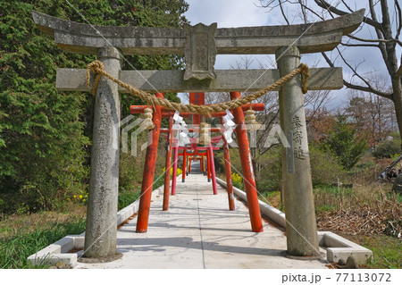 【鏡山稲荷神社】 佐賀県唐津市鏡 【鏡山稲荷神社】 佐賀県唐津市鏡 77113072