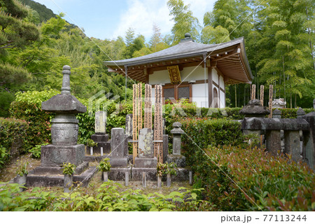 新緑の常寂光寺 開山堂 京都市嵯峨 新緑の常寂光寺 開山堂 京都市嵯峨 77113244