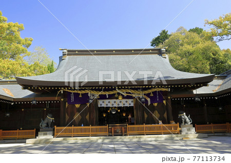 姫路護国神社 拝殿④ 77113734