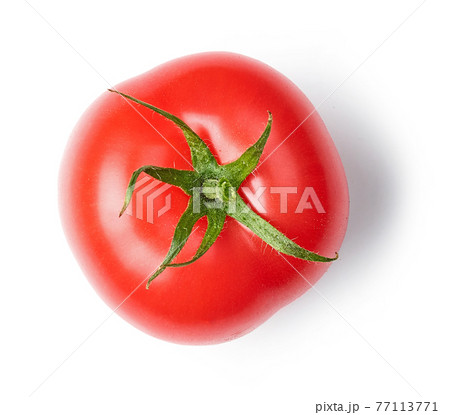 fresh red tomato 77113771