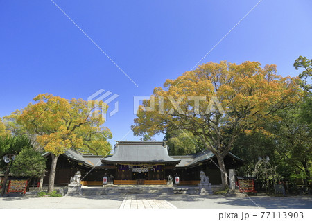 快晴の姫路護国神社 77113903