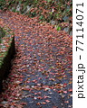 紅葉風景 77114071