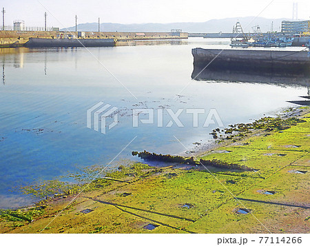 漁港の風景 淡路島背景 漁港の風景 淡路島背景 77114266