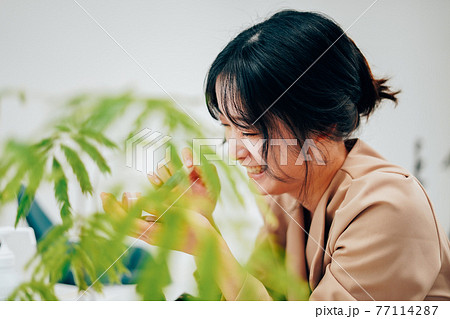 笑顔でメイクをする若い女性 笑顔でメイクをする若い女性 77114287