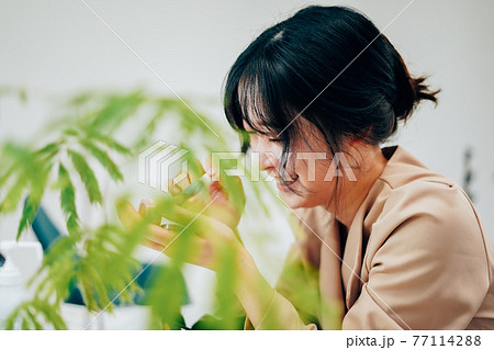 笑顔でメイクをする若い女性 77114288
