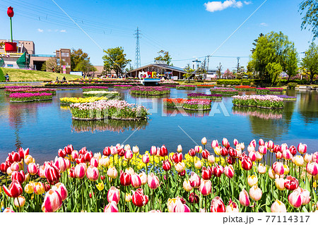 満開の水上花壇 77114317