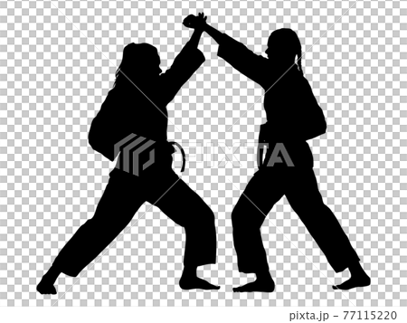 Silhouette of a karate practitioner doing kumite 77115220