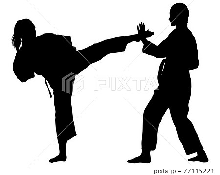 Silhouette Of A Karate Practitioner Doing Kumite 2 Stock Illustration