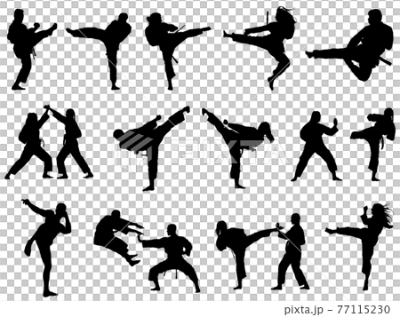 Karate silhouette_set 77115230