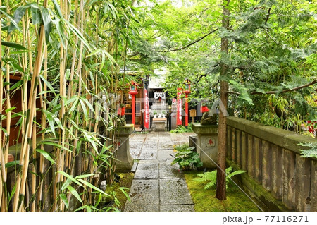 お岩様 お岩様 77116271