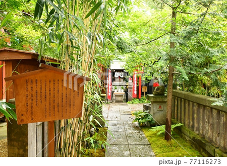 お岩様 お岩様 77116273