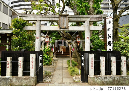 お岩様 77116278