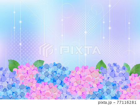 梅雨の紫陽花 背景フレーム 77116281