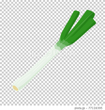 長ネギ野菜 77116395