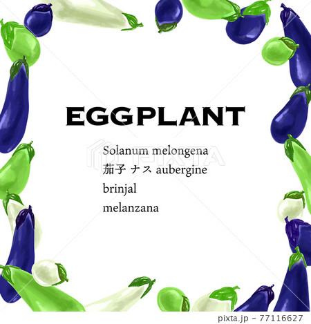 人気の夏野菜 茄子のバリエーションフレーム ベクターイラストのイラスト素材