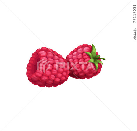 Raspberry with green stem healthy natural food, Raspberry with green stem healthy natural food, 77117051