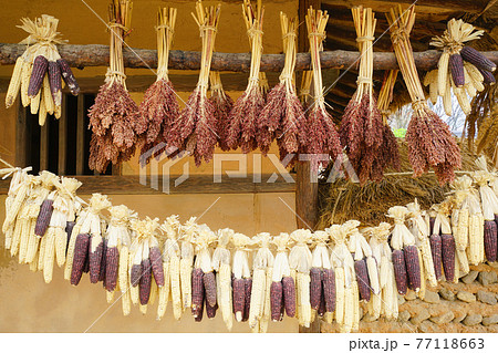 乾燥 ノルダ 風景 77118663