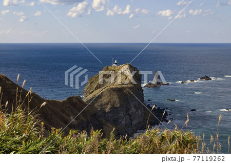青空に映える秋の神威岬　北海道 77119262