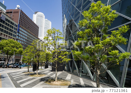 名古屋市中村区　名古屋駅前都市風景　モード学園スパイラルタワーズ前からJRセントラルタワーズを望む 77121361
