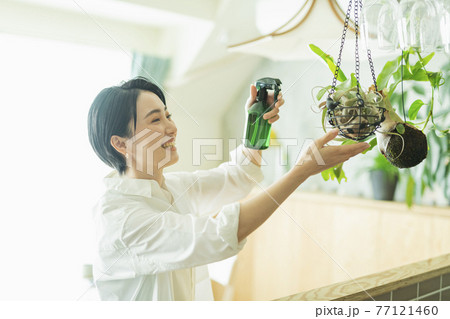 出勤前に観葉植物に水をやる女性 77121460