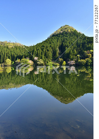 新緑の室生湖 77122267